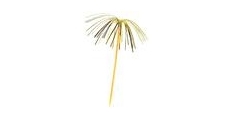 Palmička lesklá 22,5 cm (144ks)